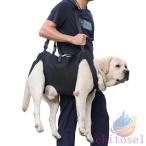 уход . собака уход для товары для ухода уход для Harness собака приспособление для ходьбы Harness домашнее животное zonchi- Harness уход сопутствующие товары маленький размер собака средний собака большой собака . собака . применение товары для домашних животных домашнее животное товары 