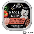 シーザー 自然素材レ