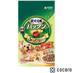 愛犬元気 パックン ビーフ・ささみ・緑黄色野菜・小魚入り 2.5kg 犬 ドッグフード えさ 半生 ◆賞味期限 2025年12月