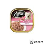 シーザー 絹ささみ(100g) CE10N 犬 ドッグフード えさ ウェット ◆賞味期限 2026年12月