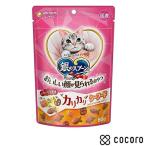 Gin no Spoon .... лицо можно смотреть закуска ka licca lisi- капот 60g кошка .. закуска снэки промежуток еда * срок годности 2026 год 12 месяц 