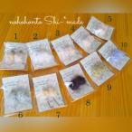 ふわコロン ピアス&amp;イヤリング　可愛いコロンとピアス♪優しい印象です