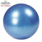 バランスボール 65cm ヨガボール65cm フィットネス シェイプアップ 器具 エクササイズ 通販 バランスボール ヨガ 鉄人倶楽部