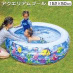 プール こども JILOng アクエリアム プール 152×50cm お子様用 丸型 大型 子供用 ビニールプール ファミリープール 水遊び 女の子 男の子 子供