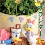 プランター 3号 小さい 植木鉢 パーティー ドナルドダック＆デイジーダック ディズニー キャラクター かわいい オブジェ 置物 お洒落 雑貨