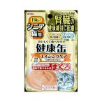 Yahoo! Yahoo!ショッピング(ヤフー ショッピング)シニア猫用　健康缶パウチ　エイジングケア【40g】（アイシア）【ペットフード/キャットフード】