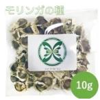 モリンガ 種 (10g) 育て方マニュアル付き プランター植え可