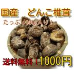 干し椎茸　国産　中玉どんこ椎茸　　　送料無料　干ししいたけ　干しシイタケ