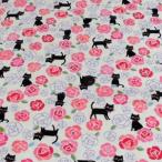 スケアープリント(ねこ　オフホワイト)