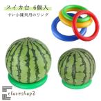 リング かぼちゃ 冬瓜 6個セット 輪っか 固定 スイカ台 台座 スイカサポート スイカの下に敷く 果実マット 18cm 果物用 すいか用 メロン 陳