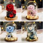 プリザーブドフラワー ガラスカバー 花 母の日 誕生日 プレゼント 女性 女友達 花 ギフト 結婚 退職祝い ブリザードフラワー NEW選べる10種類