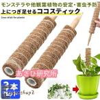 ココスティック 3本セット モンステラ 支柱 観葉植物 おしゃれ プランター 植木鉢 植物 園芸支柱 観葉支柱 ガーデニング ココスティック支柱