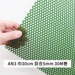 neto long сиденье AN3 ширина 30cm длина 30m глаз .5mm черепаха . глаз зеленый taki long si- I si Bill 
