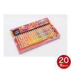 ショッピング色鉛筆 コクヨ KOKUYO ミックス色鉛筆 20色セット