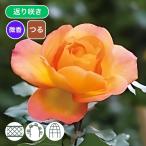 商品画像3