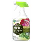 GFモストップジンスプレー 900ml