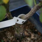  товар вид этикетка 1 сиденье 18 листов (A4 размер ) карандаш Magic лазерный принтер - соответствует наружный соответствует 5 сиденье 