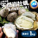 天然岩牡蠣(活) カキ 1kgセット 大き