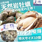 牡蠣 岩牡蠣 カキ 天然岩牡蠣 (活) 夏輝牡蠣 生牡蠣 350g-450g前後 10個セットブランド 夏輝牡蠣 鳥取産 カキ 刺身用 送料無料(岩ガキ/岩がき)