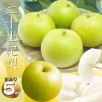 梨 二十世紀梨 5kg(M-3L 12-22個前後 )梨 ナシ なし 鳥取県産 (ご自宅用 訳あり)梨 2箱以上お買い上げでもう1箱分5kgプレゼント 送料無料