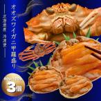 カニ 甲羅盛り オオズワイガニ 甲羅盛り 3個 90g-100g ギフト お中元 お歳暮 贈り物 ズワイガニ雄 北海道産 冷凍便 食べやすく盛り付け 鳥取産