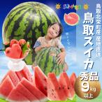 スイカ 西瓜 すいか 鳥取 特大 9キロ以上 ご進物 秀品 鳥取 北栄町産(旧大栄町) すいか 西瓜  送料無料