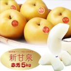 梨 新甘泉 梨 しんかんせん 鳥取産 赤梨 和梨 ナシ なし(ご進物 赤秀品)5kg(8−20玉入り)甘さ抜群 送料無料