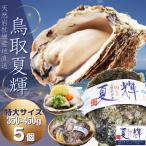 牡蠣 天然岩牡蠣 (活)夏輝牡蠣 生牡蠣 特大 350g-450g前後 5個セットブランド 夏輝牡蠣 鳥取産 カキ 刺身用 送料無料(岩ガキ/岩がき)