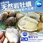 天然岩牡蠣 (活) 牡蠣 200g-300g前後 20