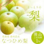  груша .... груша 1kg лето .yahoo магазин ограничение груша нет Tottori ограничение культивирование. нет 3-6 шар передний и задний (до и после) входить . дом для super товар Tottori бренд груша 