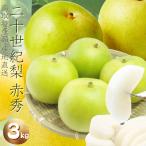 梨 二十世紀梨(ご贈答用)3kg詰 20世紀梨 なし ナシ(8-16玉前後入)鳥取県産 赤秀 送料無料