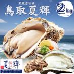 天然岩牡蠣 (活)夏輝牡蠣 2kgセット(6