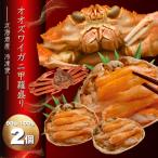 カニ 甲羅盛り オオズワイガニ 甲羅盛り 2個 90g-100g ギフト お中元 お歳暮 贈り物 蟹 ズワイガニ雄 北海道産 冷凍便 食べやすく盛り付け 鳥取産