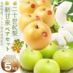 ★ 梨 新甘泉梨 二十世紀梨 梨ペアセット(訳あり ご自宅用)5kg(S−4Lサイズ)しんかんせん 甘さ抜群 送料無料