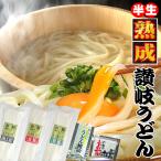 20時間熟成  半生 讃岐うどん 3種麺 つゆ付きセット 便利な個包装 750g 送料無料 最安値挑戦 得トクセール 特産品