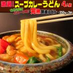 激選スープカレー 讃岐うどん 4人前セット ネコポス お試し 讃岐 食品 激安 ポイント利用 お試し商品 サンプル