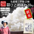新米 お米 米 20kg ひと