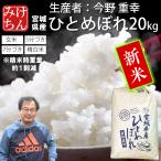 新米 お米 米 20kg ひと