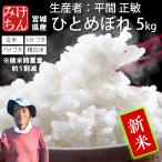 新米 お米 米 5kg ひとめぼれ 令和7年産 送料無料 宮城県産 生産者 平間 正敏 玄米 5分 7分 精白米 精米時重量1割減 ご試食価格