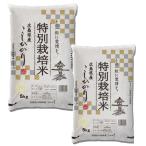 Yahoo! Yahoo!ショッピング(ヤフー ショッピング)（4年産） 広島県産特別栽培米コシヒカリ 精白米10kg （5kg×2袋） お得セット