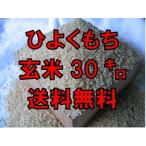 【令和５年産】【１等米限定】佐賀県産　ヒヨクモチ　玄米30ｋｇ　送料無料 日本三大もち米処 佐賀より産地直送