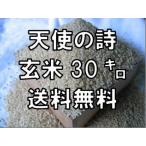 地元佐賀でもほとんど販売されない貴重な銘柄です。　【令和6年産】天使の詩 玄米 ３０kｇ 　九州 佐賀県産 送料無料 精米無料 小分け無料