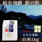 銀の朏 岐阜県飛騨 い�