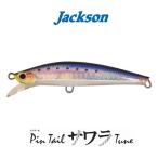 【メール便可】ジャクソン　ピンテールサワラチューン　105mm/35g