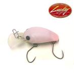 ラッキークラフト　マイクロクラピーDR 2フック SS【メール便可】