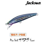 ジャクソン　ピンテールサワラチューン　35g　強化フック仕様【メール便可】