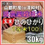 平成29年産　玄米　熊本県山都町産　減農薬栽培米　ひのひかり　30kg