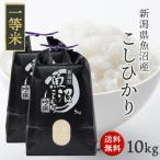 令和7年産 新潟県 魚沼