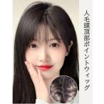 人毛頭頂部ポイントウィッグ POINT WIG 頭頂部ウィッグ 白髪隠し 手植え 人毛100%使用 ボリュームアップ カツラ つけ毛クリップ式