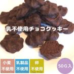 クッキー　グルテンフリー　手作りサクサクチョコレートクッキー　50ｇ　辻安全食品　チョコクッキー　グルテンフリー お菓子　アレルギー食品